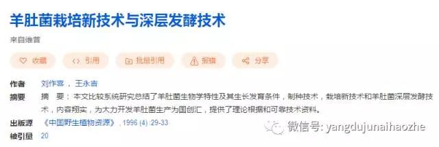 &#31859;&#20848;&#23448;&#26041;&#32593;&#39029;&#29256;&#45;&#31859;&#20848;&#40;&#20013;&#22269;&#41;