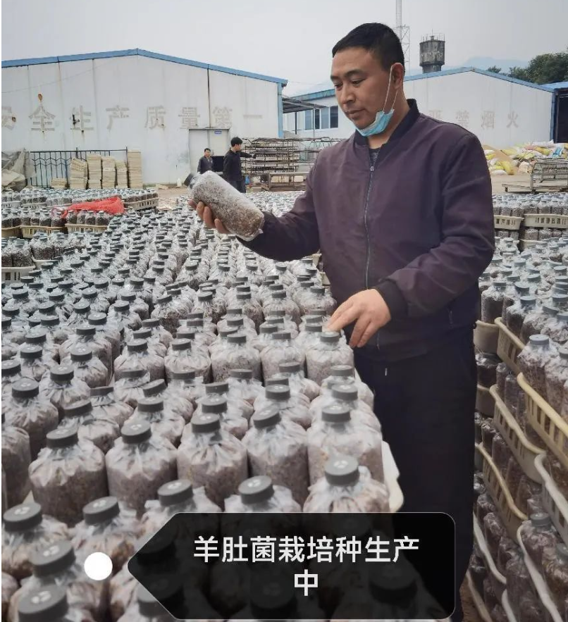 &#31859;&#20848;&#23448;&#26041;&#32593;&#39029;&#29256;&#45;&#31859;&#20848;&#40;&#20013;&#22269;&#41;
